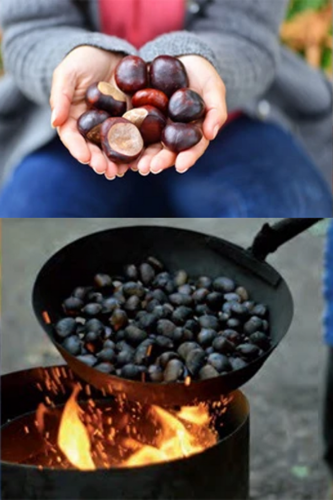 Consejos para hacer castañas en tu casa esta Castañada