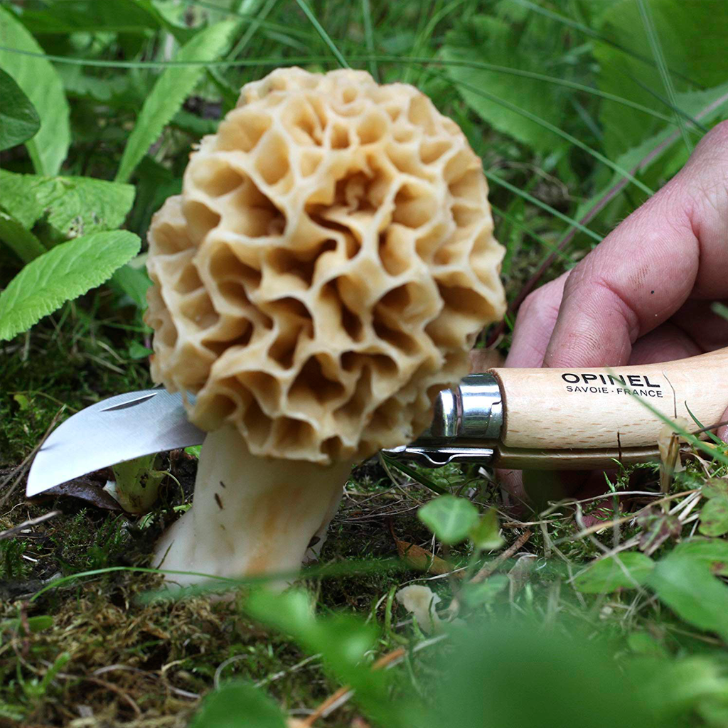 Opinel Nº8 mushroom knife Claudia&Julia